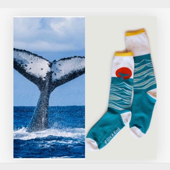 Brand new, Organic Cotton, whale socks, unisex, size 7-12 - Picture 1 of 9